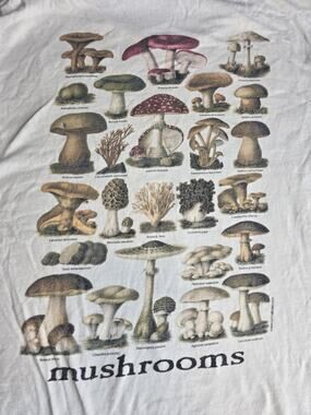Mt. Rainier National Park Mushroom Tee Size XL